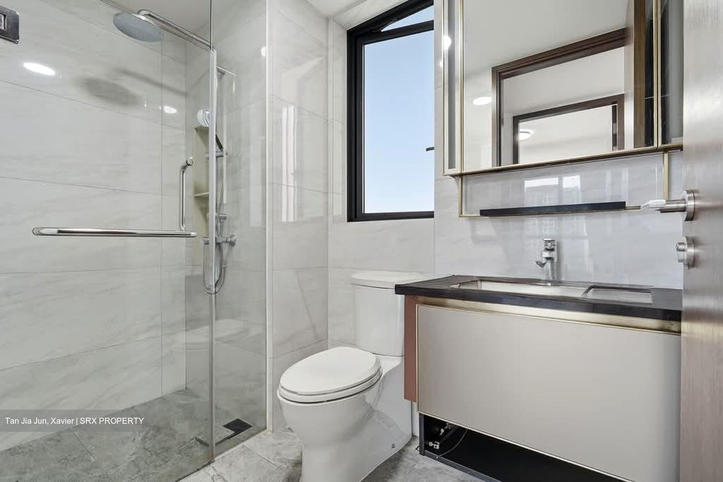 Normanton Park (D5), Apartment #560148831